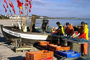 Fischer der Insel  Rügen