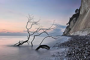 Morgens an der Kreideküste